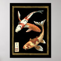 Deux Japonais Koi Goldfish sur un Arrière - plan n
