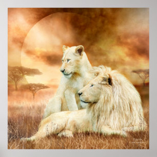 Poster Deux Lions Blancs - Ensemble Poster/Imprimer