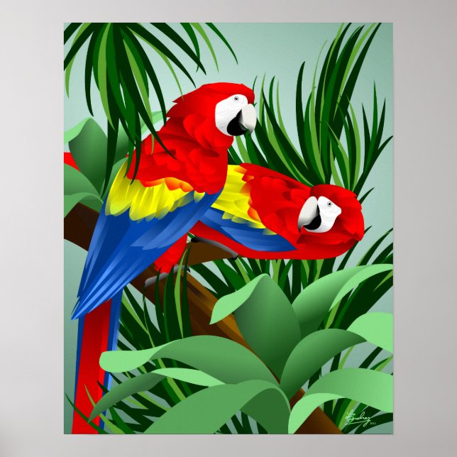 Poster Deux Macaws écarlate (Devant)