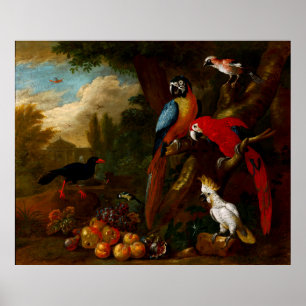 Poster Deux Macaws un Cockatoo et une Jay aux fruits