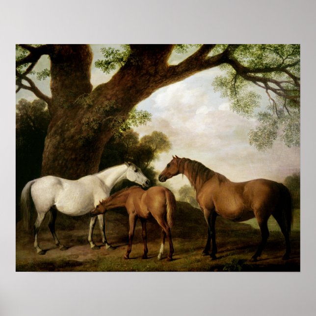 Poster Deux mares shafto et un poulain, 1774 (Devant)