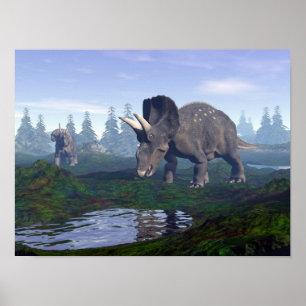 Poster Deux nédoceratops/dicératops dinosaures marchant