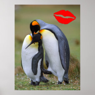 Poster Deux pingouins d'amour