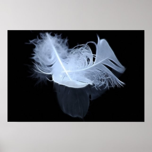 Poster Deux plumes de flamme et réflexion (Devant)