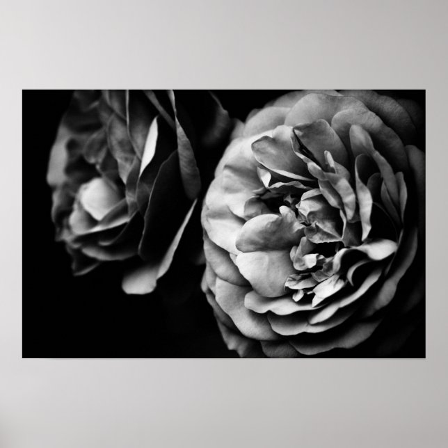 Poster deux roses (Devant)