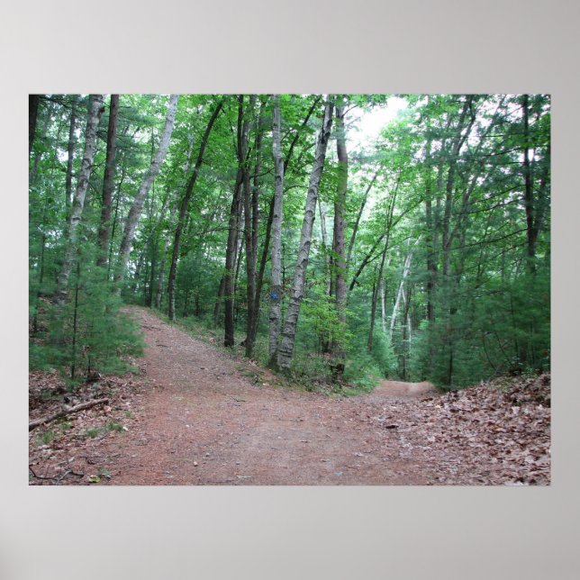 Poster Deux Routes Divergées Dans Un Bois Jaune (Devant)