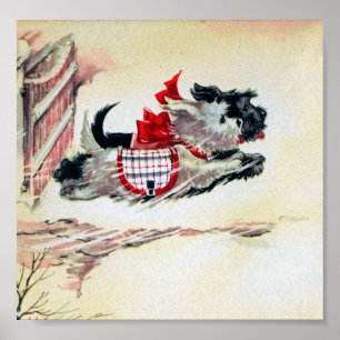 Poster Deux Scotties courants