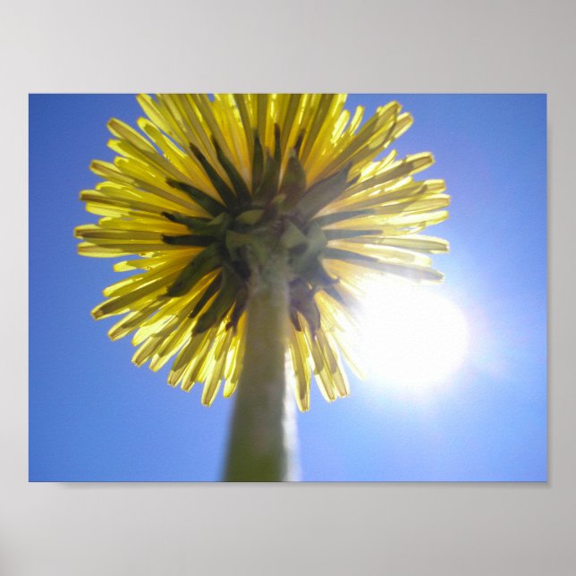 Poster Deux soleils (Devant)