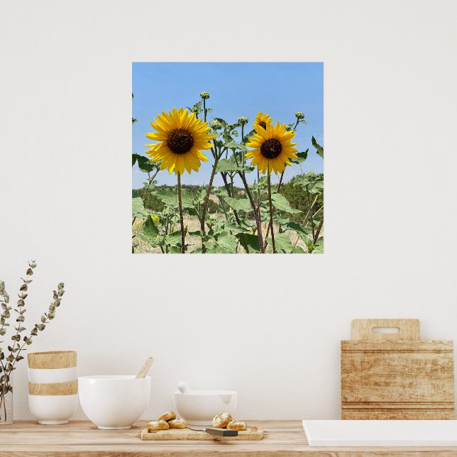 Poster Deux Sunflower bleu ciel (Cuisine)