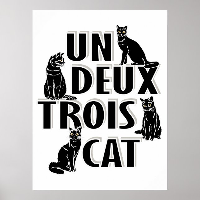 Poster Deux Trois Cat (Devant)