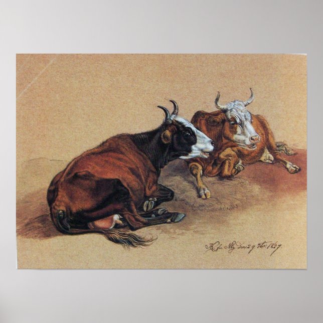 POSTER DEUX VACHES LONGUES (Devant)