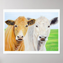 Deux vaches pour Oklahoma 11 x 14 Imprimer