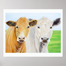 Deux vaches pour Oklahoma 16 x 20 Imprimer