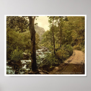 Poster Devils Glen, Ashford, Comté de Wicklow Irlande