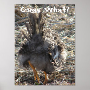 Poster Devinez Quoi ? Bouton de poulet