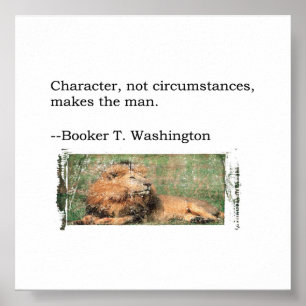 Poster Devis T. Washington