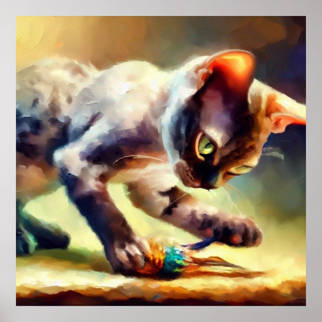 Poster Devon Rex Cat (Devant)