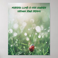 Dew Ladybug du matin : Le petit vagabond de la nat