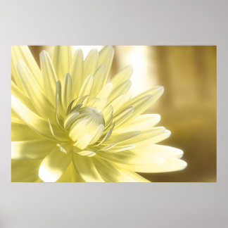 Poster Dhalia