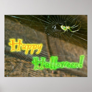 Poster d'Halloween Leucauge Orb Weaver