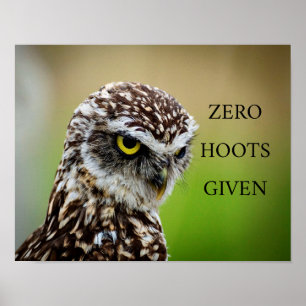 Poster d'hibou
