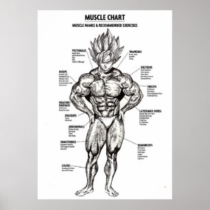 Poster Diagramme d'anatomie de l'animal, diagramme de mus