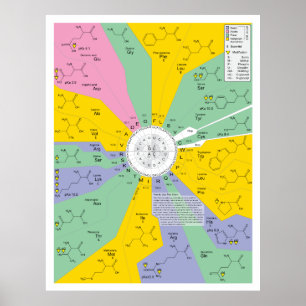 Poster Diagramme de code génétique montrant les résidus d