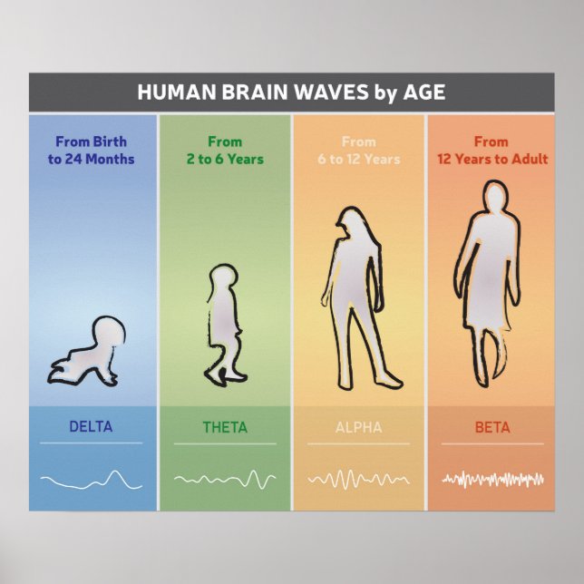 Poster Diagramme de diagramme d'âge des vagues cérébrales (Devant)