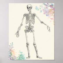 diagramme de fleur squelette de l'anatomie médical