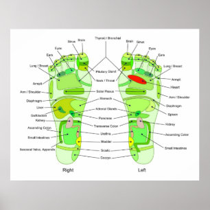 Poster Diagramme de l'acuité du pied