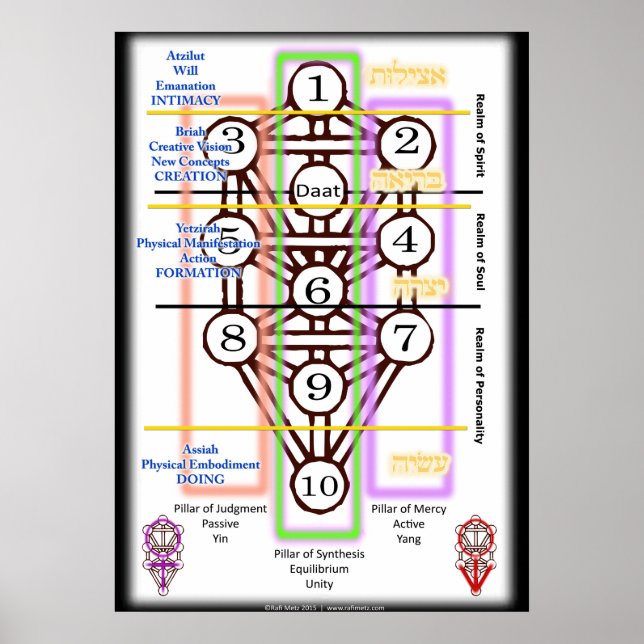 Poster Diagramme de l'arbre de vie | Toutes les tailles (Devant)
