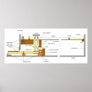 Poster Diagramme de l'instrument de musique Harpsichord