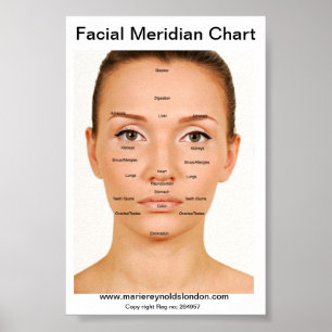 Poster Diagramme de méridienne faciale