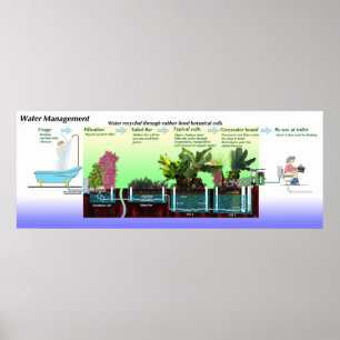 Poster Diagramme de traitement des eaux grises