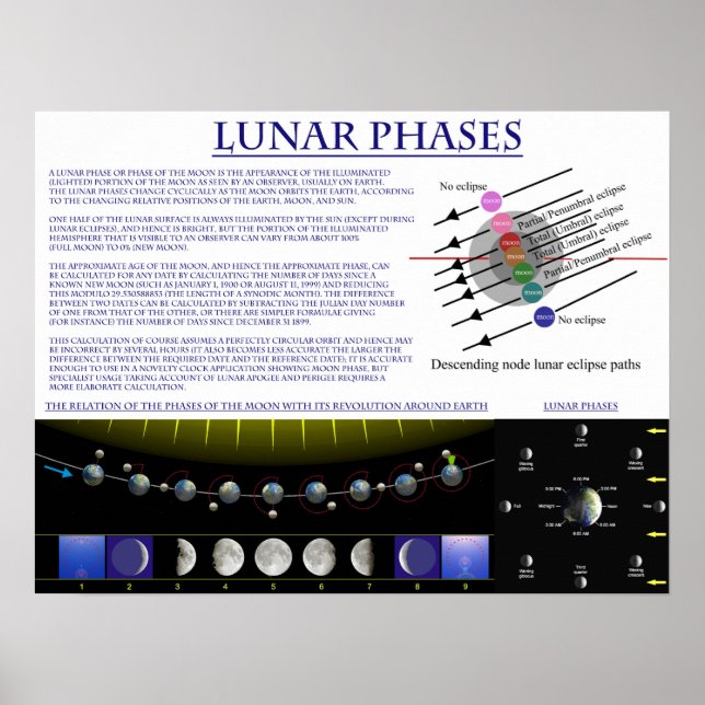 Poster Diagramme des phases lunaires de la Lune de la Ter (Devant)