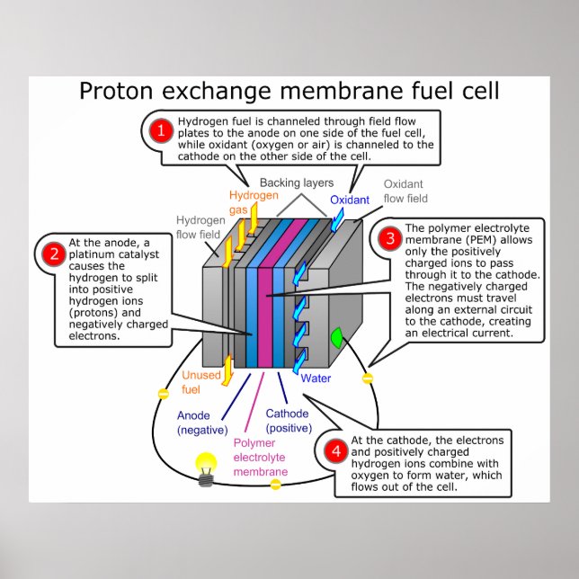 Poster Diagramme des piles à combustible pour l'échange d (Devant)
