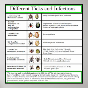 Poster Diagramme des tiques et des infections