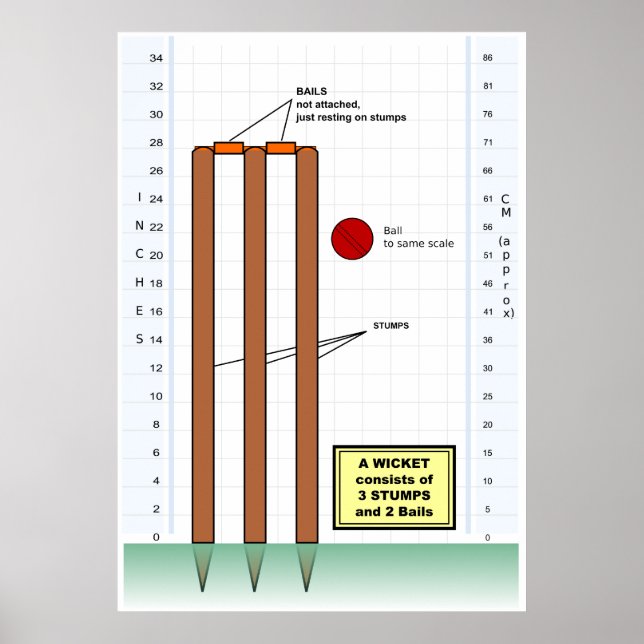 Poster Diagramme d'un billet du jeu de cricket (Devant)