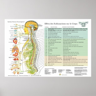 Poster Diagramme français de chiropractie d'effets de