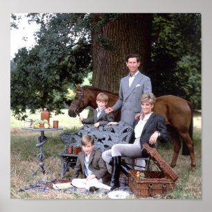 Poster Diana Charles William Harry 1992