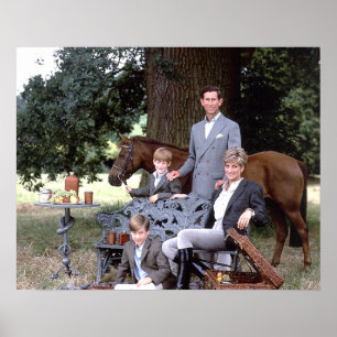 Poster Diana Charles William Harry 1992