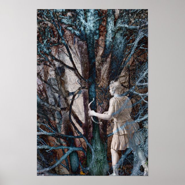 Poster Diana, déesse de la chasse, dans une Forêt Magique (Devant)