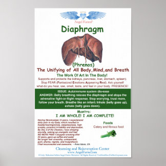 Poster Diaphragme d'angle des fermes