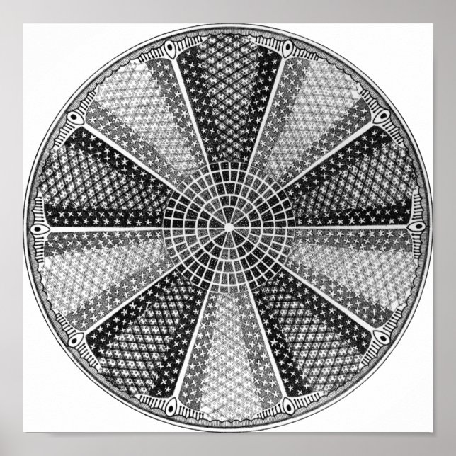 Poster Diatom 13 Ernst Haeckel Fine Art (Devant)