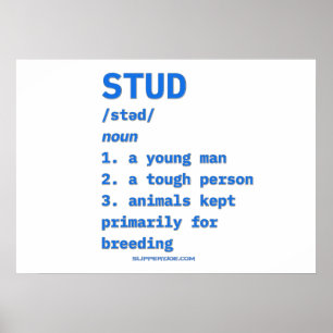 Poster Dictionnaire d'animaux de définition de type stud 