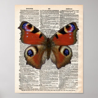 Poster Dictionnaire français vintage avec papillon Peacoc