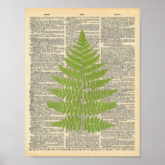 Poster Dictionnaire vintage Art Green Fern Frond Imprimer