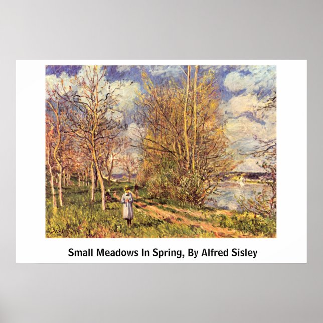 Poster Die Small Meadows Au Printemps, Par Alfred Sisley (Devant)