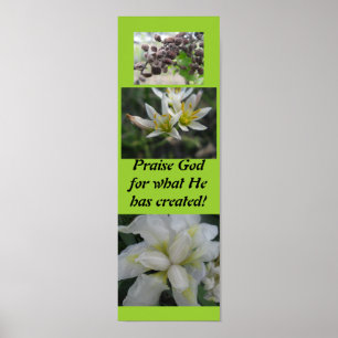 Poster Dieu d'éloge pour ce qu'il a créé !