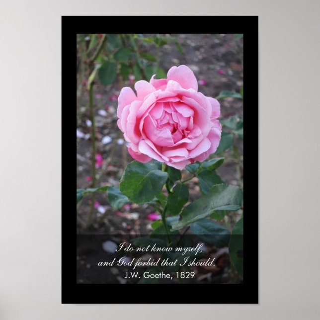 Poster Dieu m'interdit de me connaître - Goethe cite (Devant)